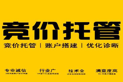 百度品牌专区推广：打造品牌形象的新途径